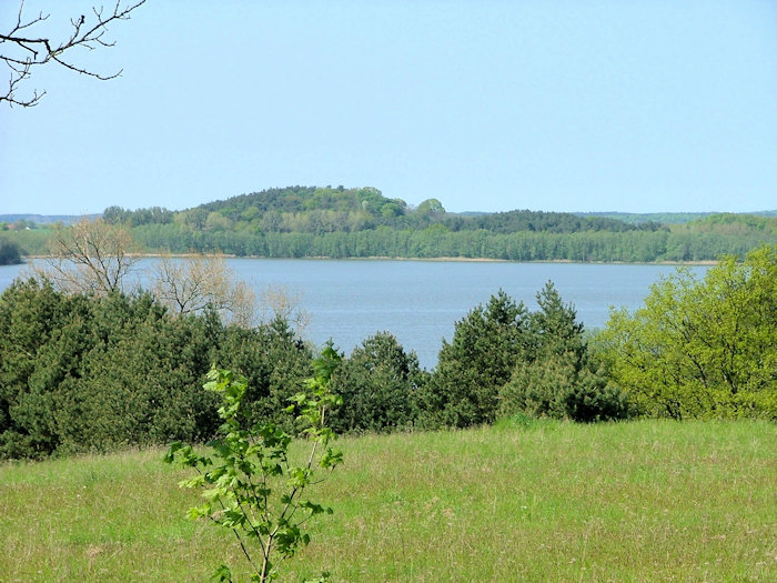 schmollensee